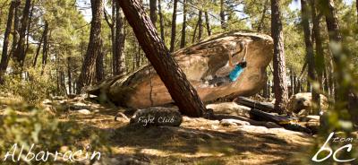 Gaby in "Fight Club"